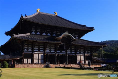 おなじみ「奈良の大仏さま」を見に行きませんか？～奈良県 東大寺のみどころ～ キナリノ