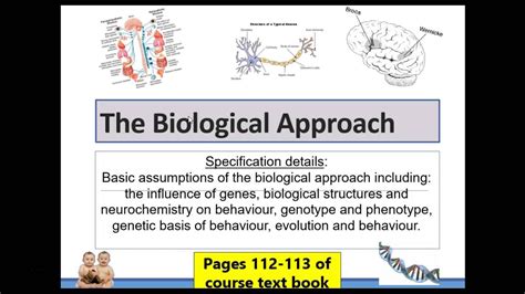 The Biological Approach Youtube