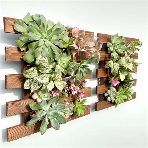 Indoor Living Wall Planters