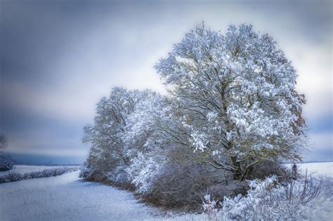 First snow winter 2023 24 - Der erste Schnee :: Behance