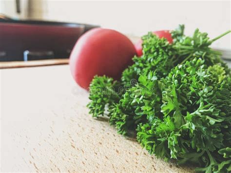 Parsley And Tomato Stock Image Image Of Tomato Process 99092381