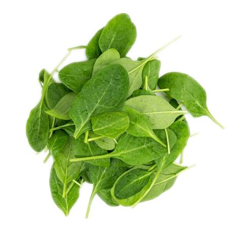 Premium Photo Fresh Spinach Isolated On White