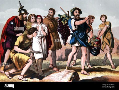 Illustration Of The Return Of The Spies Book Of Numbers Moses Sent 12