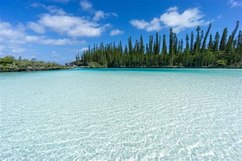 Premium Photo Beautiful Seascape Of Natural Swimming Pool Of Oro Bay