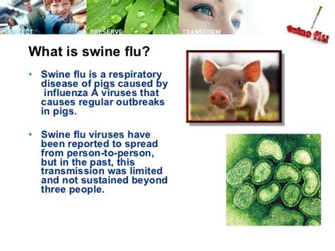 Recent advancements in Swine Flu Treatment