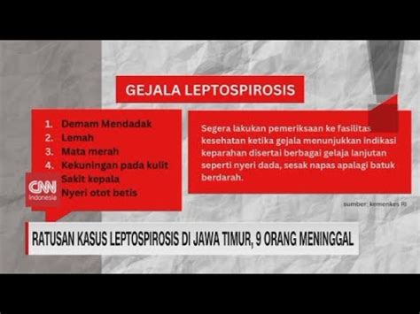 Ratusan Kasus Leptospirosis Di Jawa Timur 9 Orang Meninggal YouTube