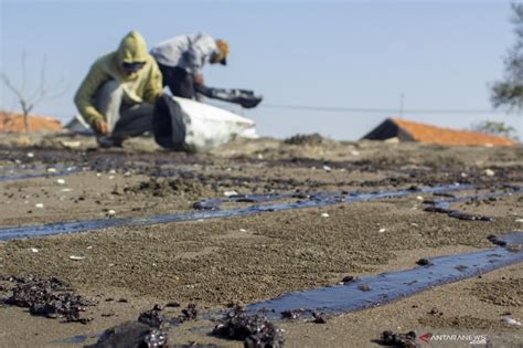 Kebocoran Pipa Minyak Pertamina Di Karawang Berhasil Ditutup Antara News