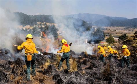 Incendios Forestales Dañan La Flora Y La Fauna De Acámbaro Colormag