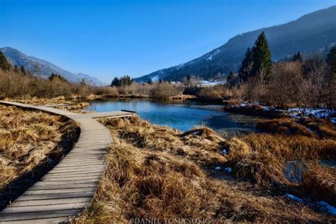 zelenci-nature-reserve-winter-time - TRAVELSLOVENIA.ORG – All You Need ...