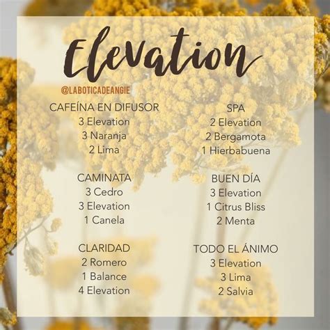 Elevation En Difusor Combinaciones De Aceites Esenciales Recetas De