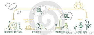 Biomass Energy Landscape Poster With Useful Infographics Vector