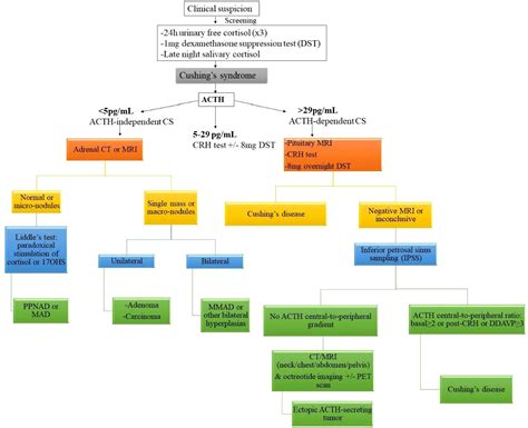 Frontiers Adrenal Hyperplasias In Childhood An Update