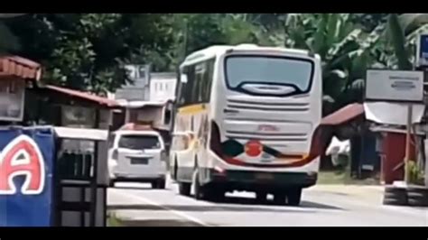 Bus Al Hijrah Pendatang Baru Dan Bus Npm Legendaris Full Musik Minang