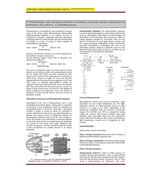 Csir Unit 6 Full Notes A Ph O T O S Y N T H E S I S L I G H T H A