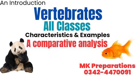 Introduction To All Vertebrates Classes With Their General Characteristics And Examples