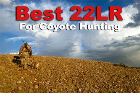 Coyote Hunting Calendar Tandi Valenka