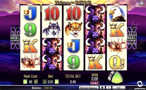 Buffalo Casino Slot Machine and Live Dealer Casino Gaming