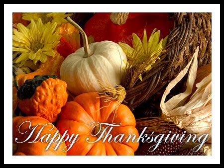 Happy Thanksgiving Lee Ann Brady Dmd