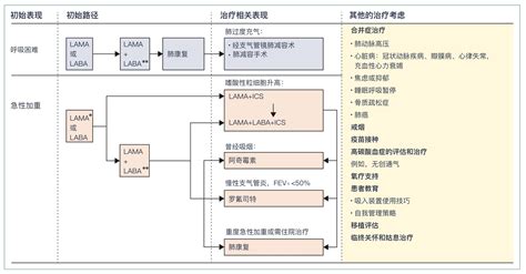 柳叶刀最新综述：慢阻肺的诊断和治疗进展 知乎