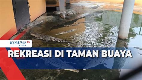 Habiskan Libur Lebaran Warga Medan Pilih Taman Buaya Asam Kumbang