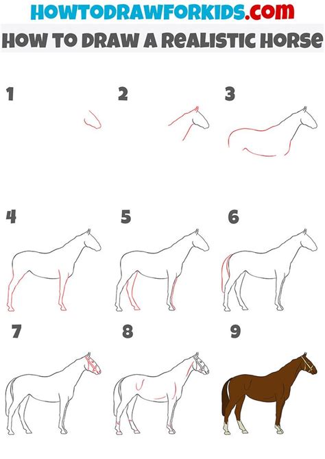 how to draw a realistic horse step by step | Drawing tutorial easy ...