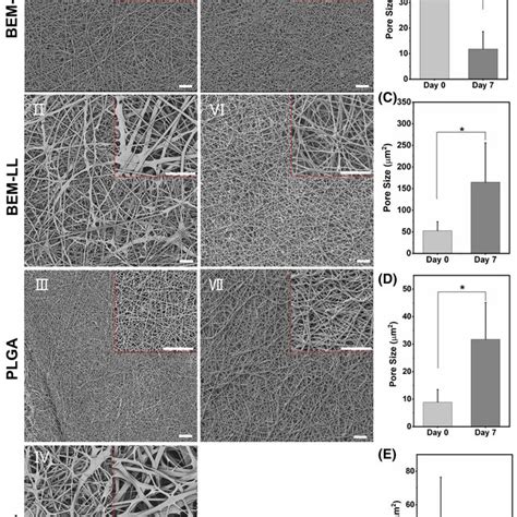 Morphological Characterizations Of The Original Electrospun Membranes