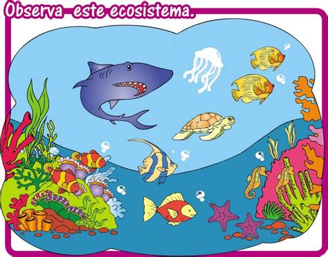 Ecosistema Acu Tico De Agua Salada Escolar Abc Color Dibujo De Un