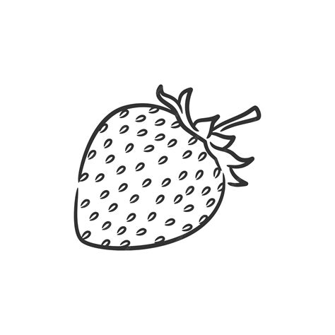 premium vector strawberry  art vector illustration