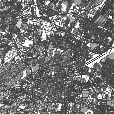 Map Of Mexico City In Mexico In Grayscale Contains Layered Vector With