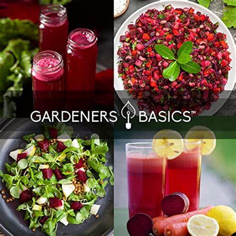 Gardeners Basics Beet Seeds For Planting Home Garden 5 Variety Pack