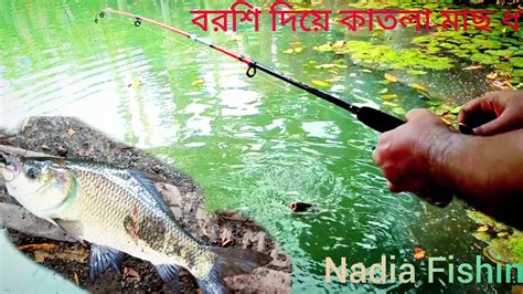 বরশি দিয়ে রুই ও কাতলা মাছ ধরা Nadia Fishing 🎣 Youtube