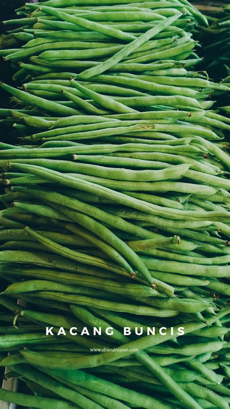 Merakam Gambar Sayur-sayuran Tempatan Di Pasar Tani Danau Kota ...