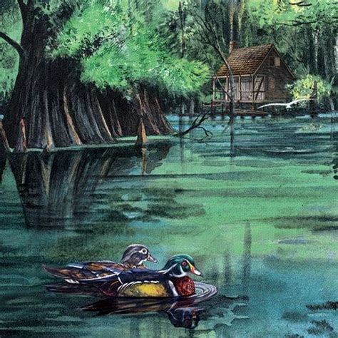 Louisiana Art Print Swamp Scene Wood Ducks At Alligator Bayou