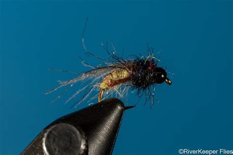 Caddis Fly Patterns Artofit