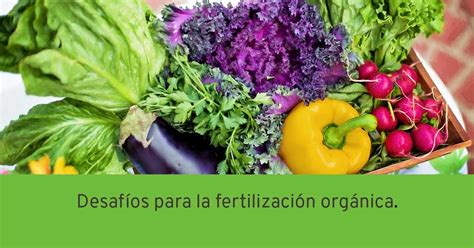 Desafíos Para La Fertilización Orgánica Fabricante De Fertilizantes