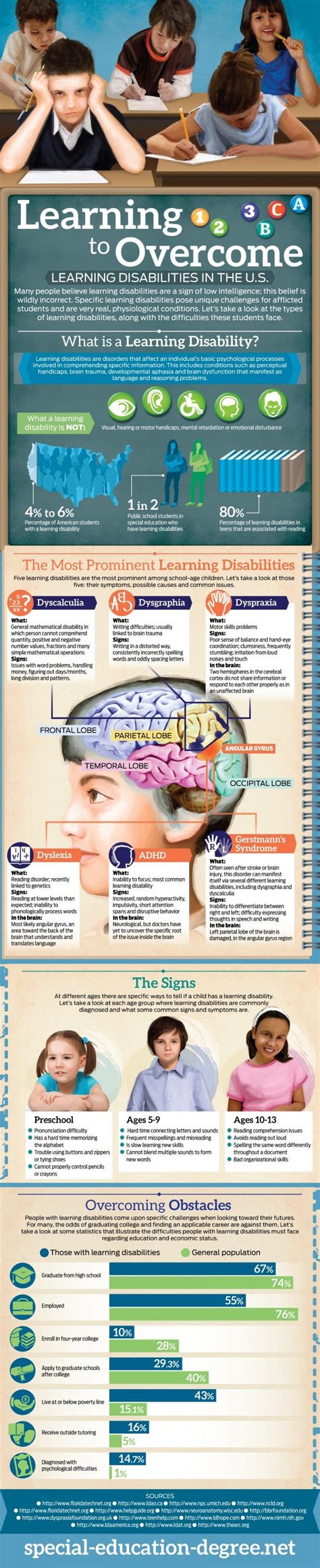 Learning Disabilities Infographic E Learning Infographics