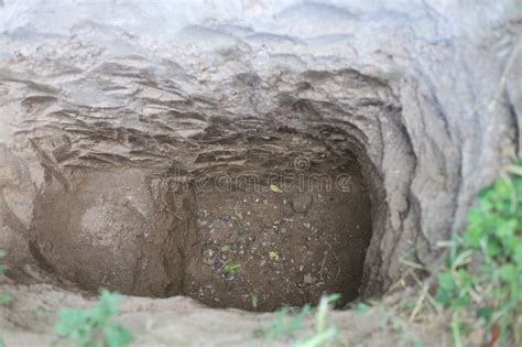 deep pit   ground stock photo image  soil geology