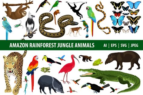 Tropical Rainforest Animals: List, Names, Pics Of Species, 57% OFF