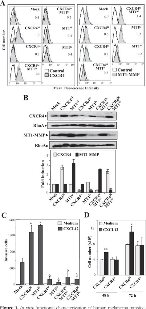 Figure From Tumorigenesis And Neoplastic Progression The Chemokine