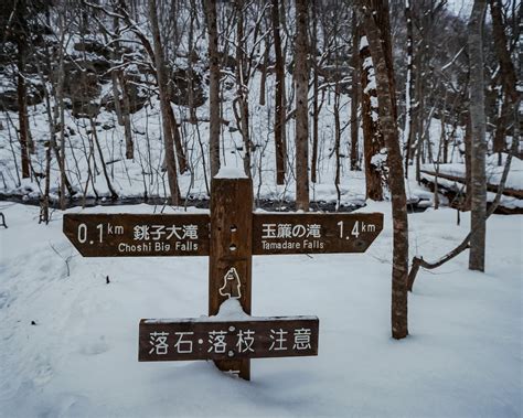 Snowshoe Walk in Aomori - What to Wear For Winter in Japan - Stella Lee ☆ Indonesia Beauty and ...