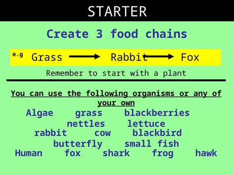 Ppt Gcse Biology Food Chains Webs And Pyramids Dokumen Tips