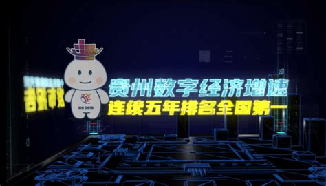 【专题】永不落幕的数博会—2020全球传播行动新华网