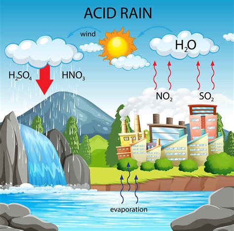 Acid Rain In Ohio Basia Carmina