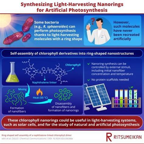 Researchers Synthesise Light Harvesting Nanorings Found In