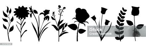 Collection Of Flower Stalk Designs In Silhouette Style On Isolated ...