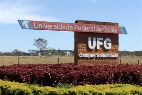 Top 50 Ufg Ganha Posições Em Ranking Das Melhores Universidades Latino