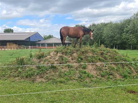 Hoch Hinaus Reitbetrieb An Der Steinheide Familie K Llen