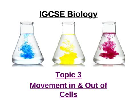 Cie Igcse Biology 0970 9 1 Topic 3 Movement Into And Out Of Cells