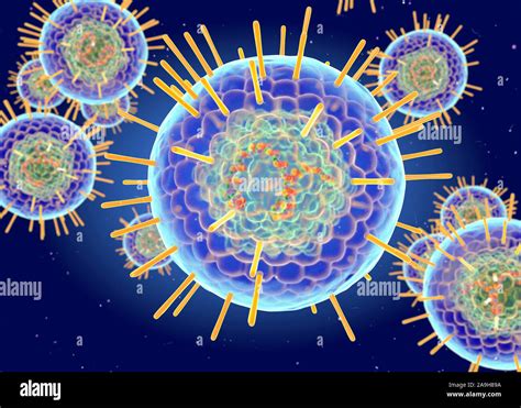 herpes simplex virus structure illustration stock photo alamy