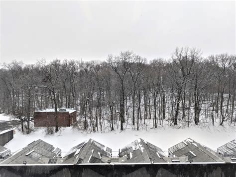 The Dormant Biology Lab Now At Stony Brook